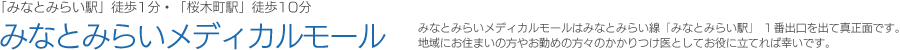 みなとみらいメディカルモール